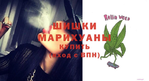 спиды Богородицк