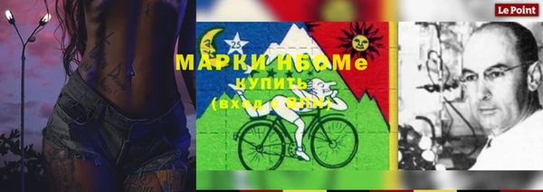 спайс Богданович