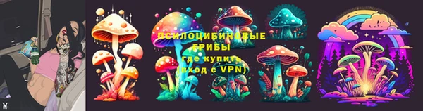 спиды Богородицк
