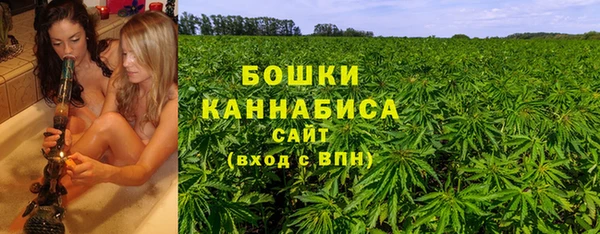 спайс Богданович
