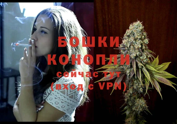 прущие грибы Богородск
