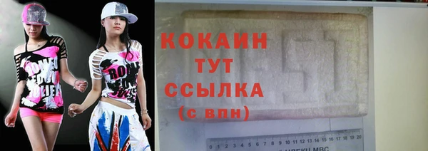 прущие грибы Богородск