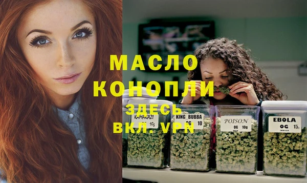спиды Богородицк