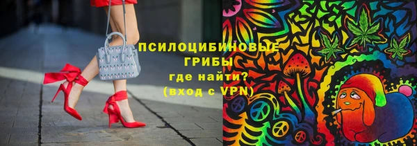 спайс Богданович