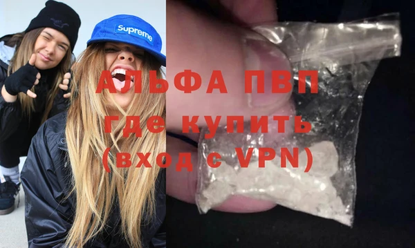 спиды Богородицк