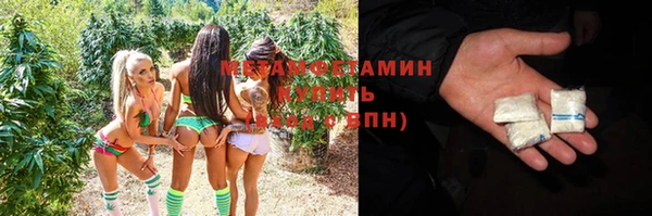 спайс Богданович