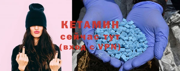 спиды Богородицк