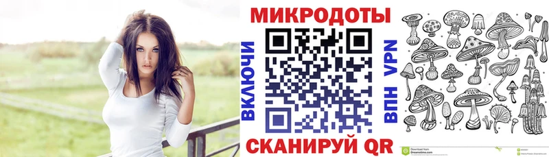 Псилоцибиновые грибы Cubensis  Сковородино 